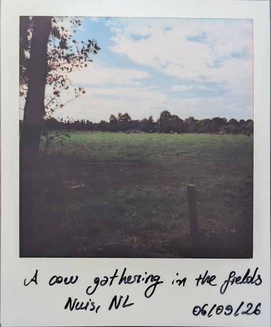 Groningen on Polaroid 🇳🇱