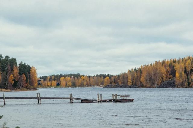 Autumn colors in Jyväskylä. 🍂