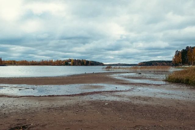 Autumn colors in Jyväskylä. 🍂