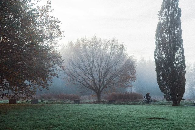 Morning mist and quiet reflections.