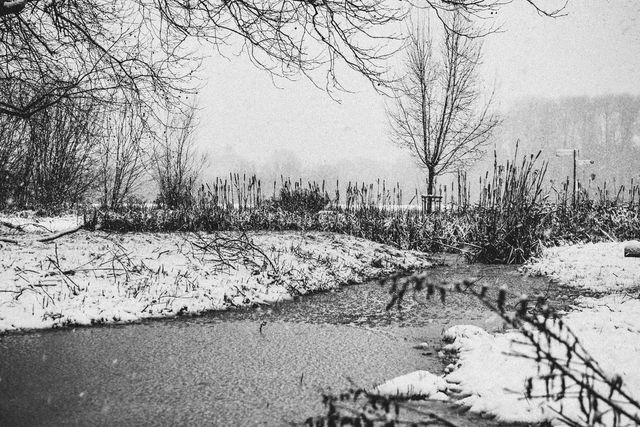 Snow blankets and a monochrome dream. · KU Leuven Campus Arenberg III