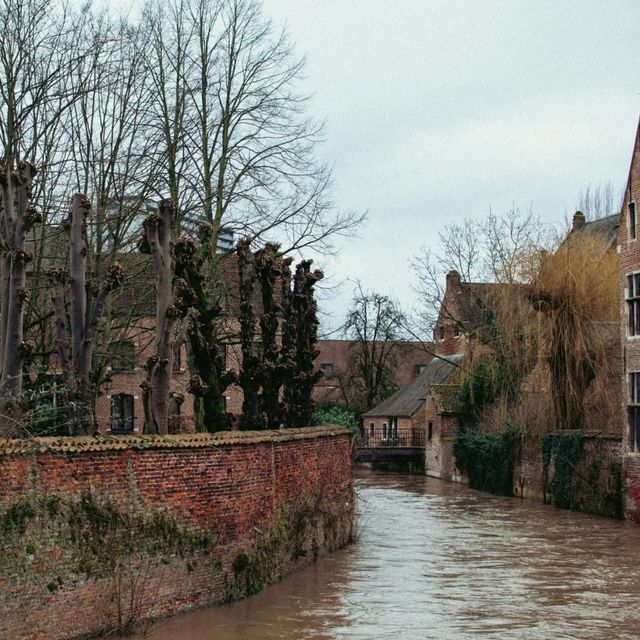 Wandering by the Dyle.