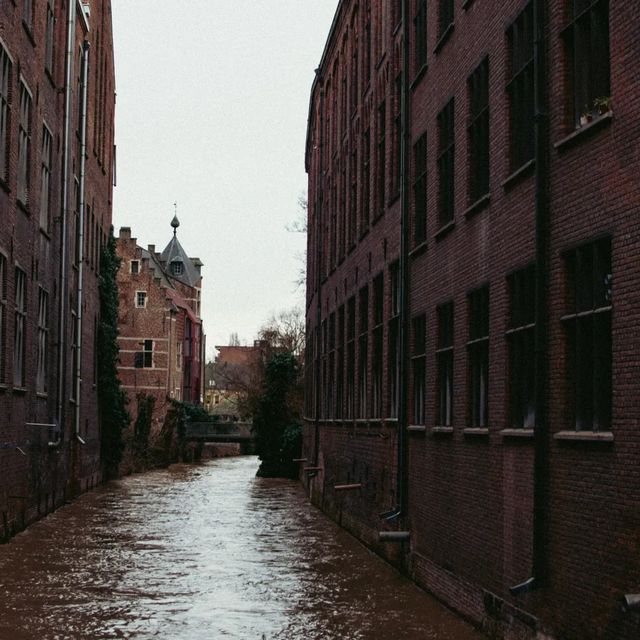 Wandering by the Dyle.
