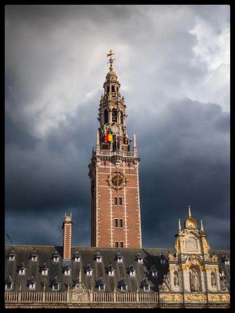 Gray skies over Leuven. · Universiteitsbibliotheek (KU Leuven)