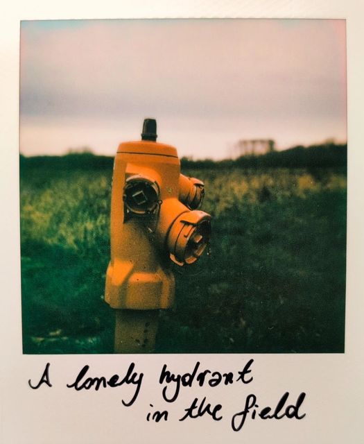 A lonely hydrant in the field. · Heverlee