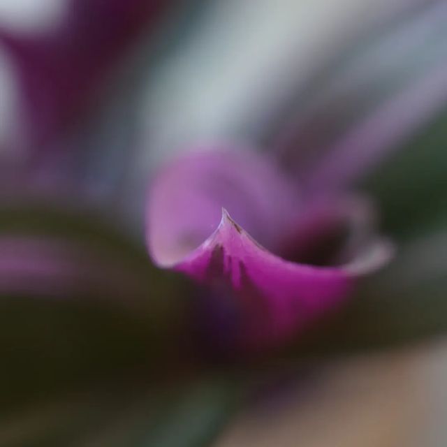 Colours of the last spring.