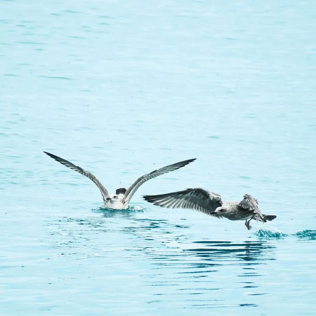 Landing & Take-off