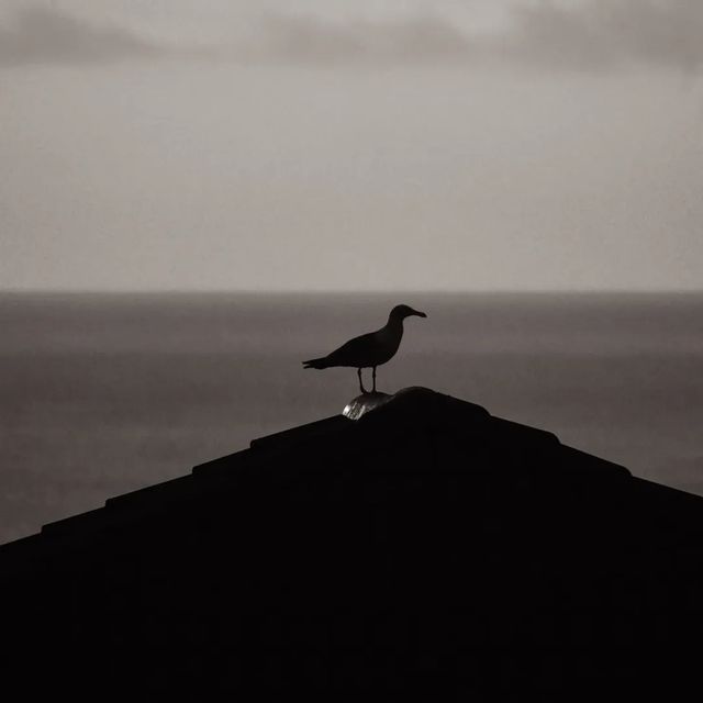 A curious silhouette on the horizon.